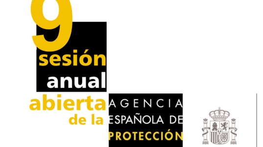 9-sesion-anual-aepd
